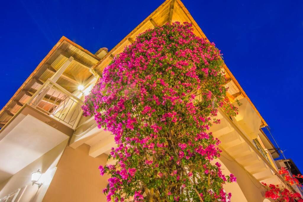 Emily Zakynthos Appartement Tsilivi (Zakynthos)